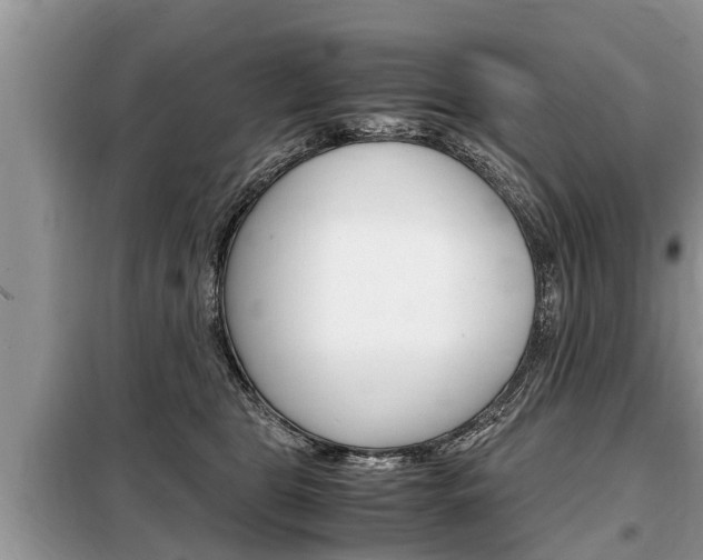 X0000099290469200805020737