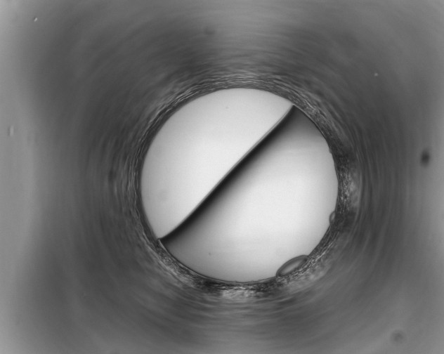 X0000099290470200805020737