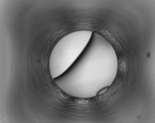X0000099290471200805020737