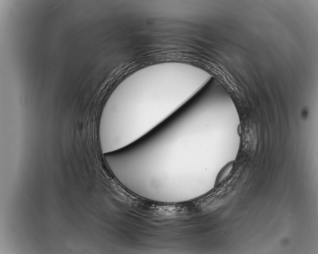 X0000099290473200805020737