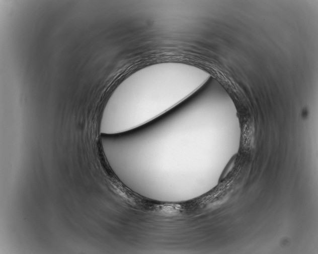 X0000099290474200805020737
