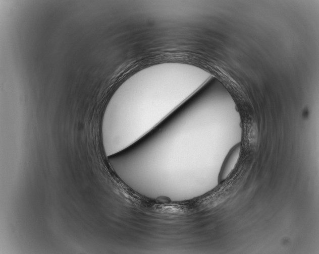X0000099290475200805020737