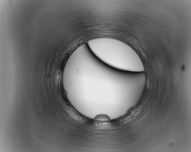 X0000099290476200805020737