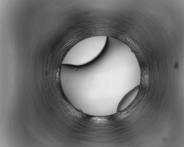 X0000099290477200805020737