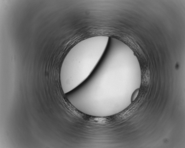 X0000099290478200805020738