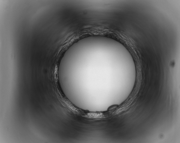 X0000099290480200805020738