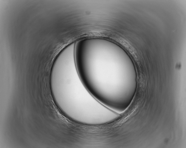 X0000099290481200805020737