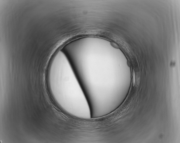 X0000099290483200805020737
