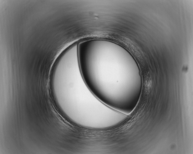 X0000099290484200805020737