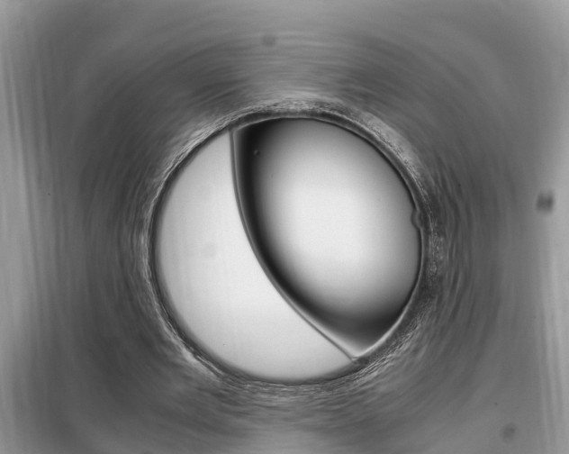 X0000099290485200805020737