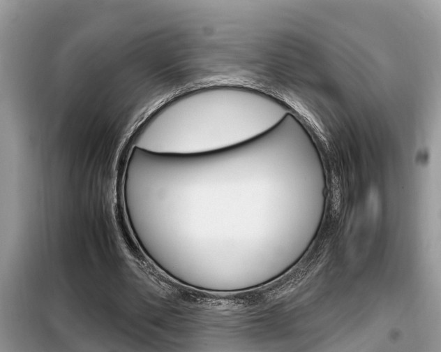 X0000099290486200805020737