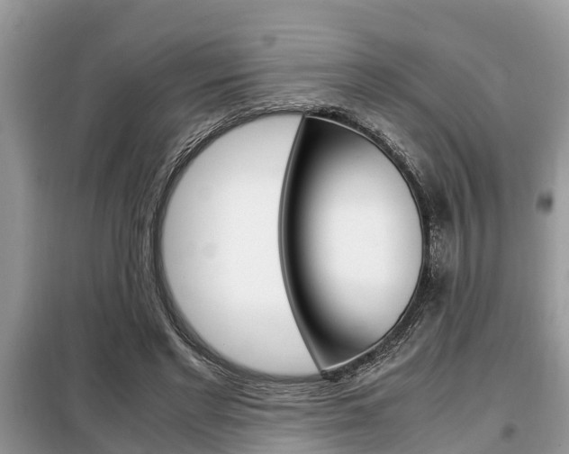 X0000099290493200805020737
