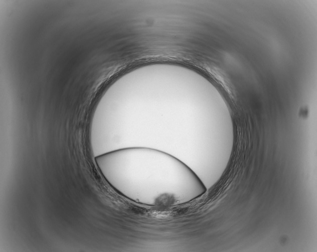 X0000099290495200805020737