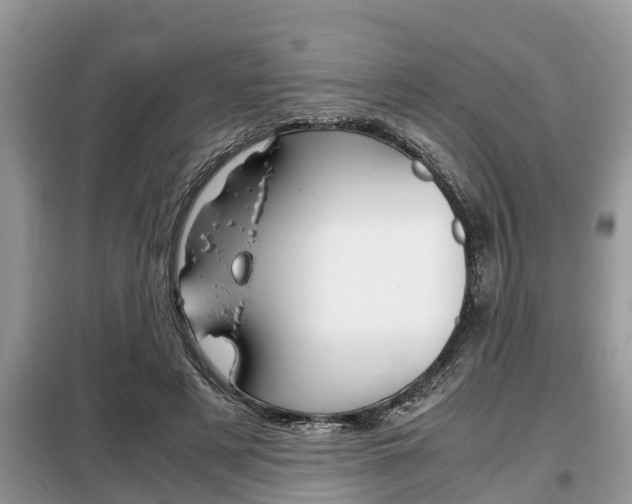 X0000099290497200805020737
