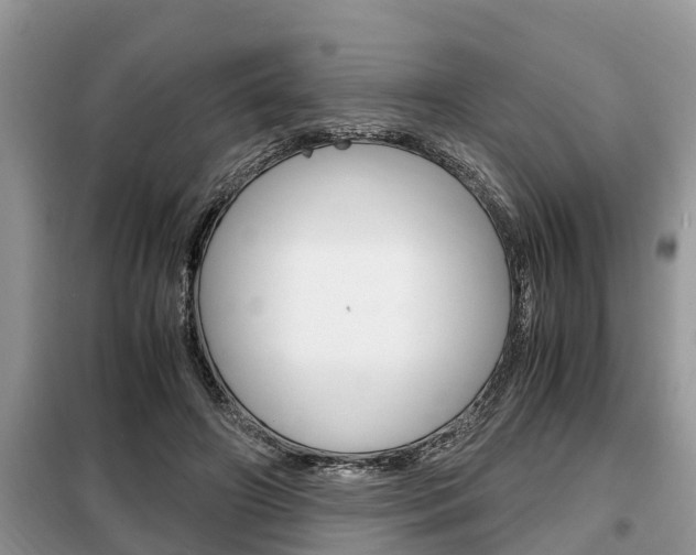 X0000099290498200805020737
