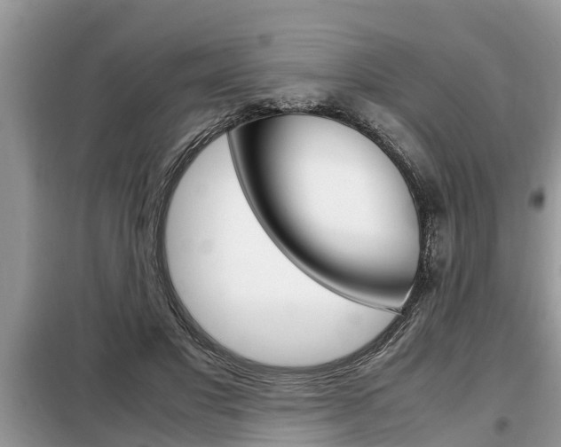 X0000099290501200805020737
