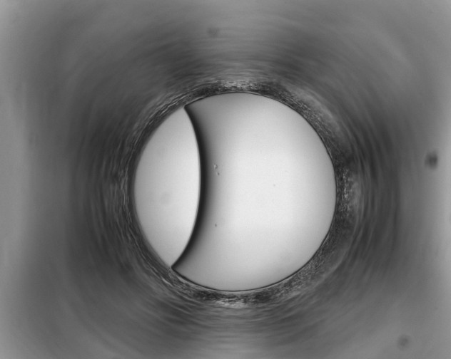 X0000099290502200805020737
