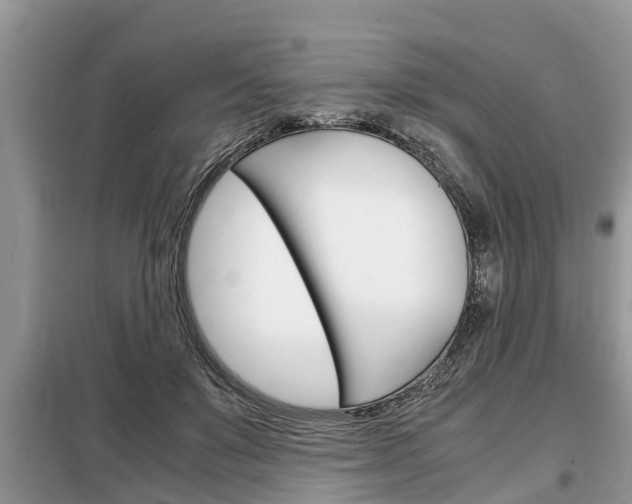 X0000099290503200805020737