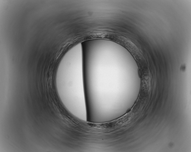 X0000099290504200805020737
