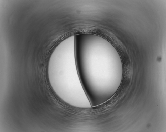 X0000099290505200805020737