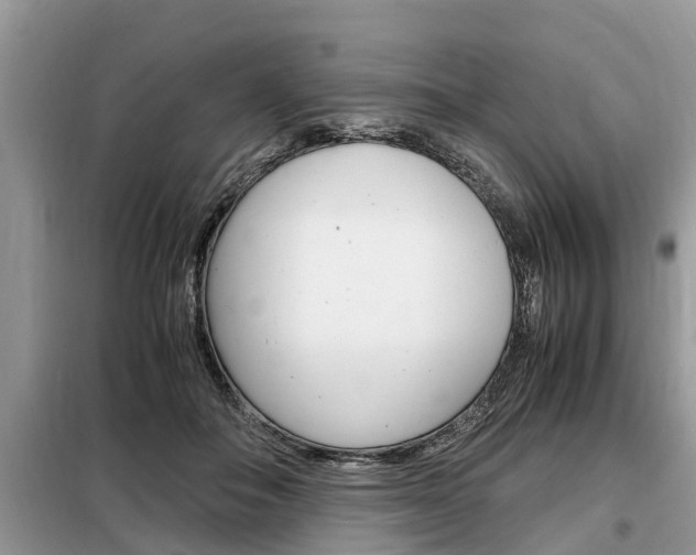 X0000099290506200805020737