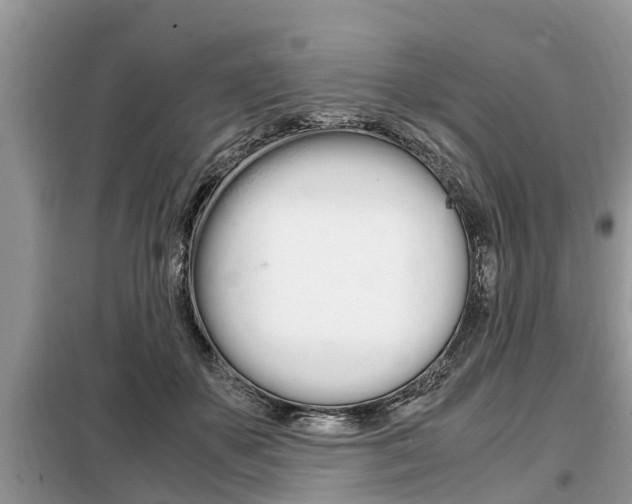 X0000099290507200805020737