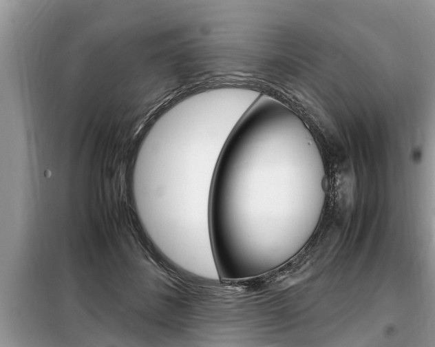 X0000099290508200805020736