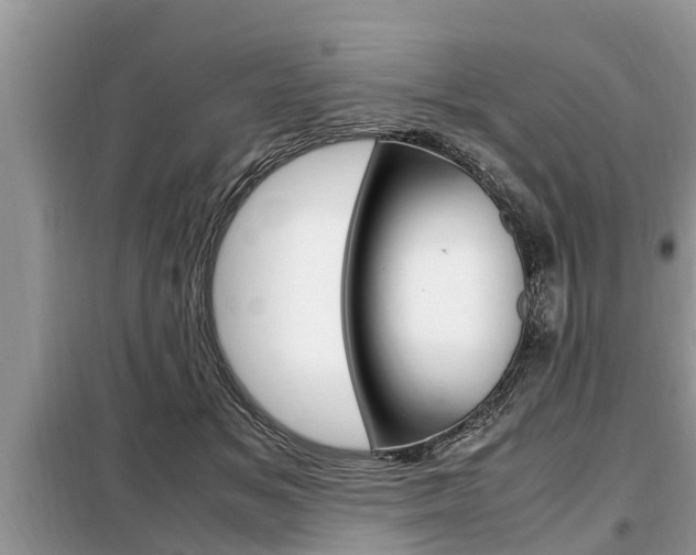 X0000099290509200805020736