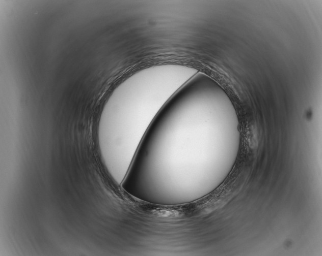 X0000099290512200805020736