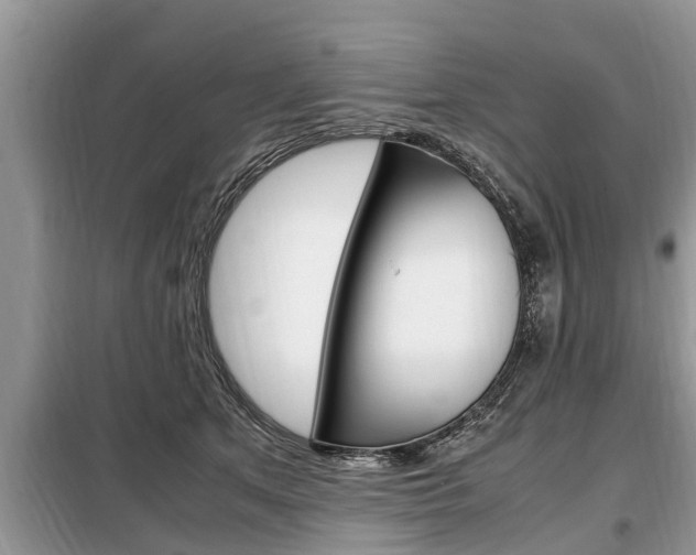 X0000099290513200805020736