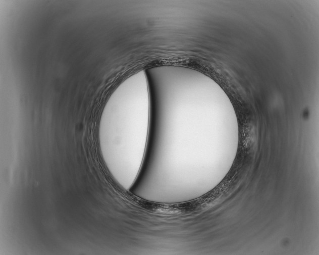 X0000099290515200805020736