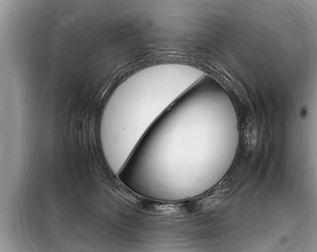 X0000099290516200805020736