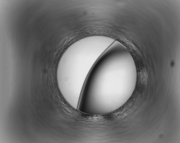X0000099290517200805020736