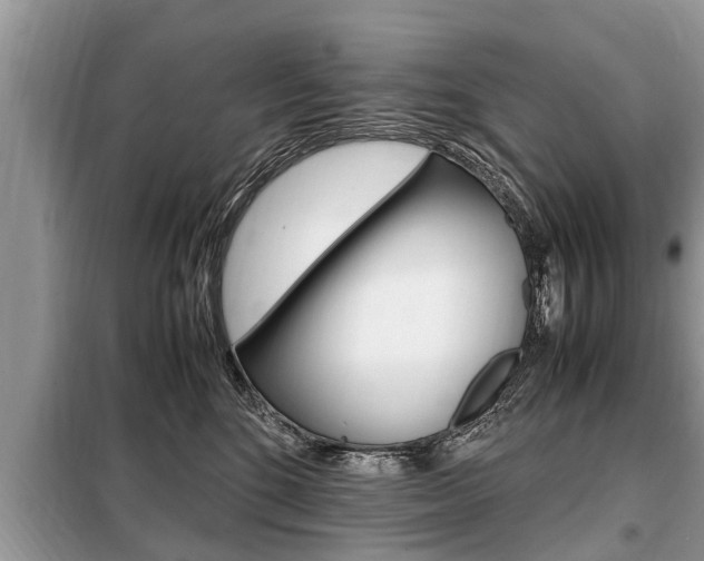 X0000099290520200805020736