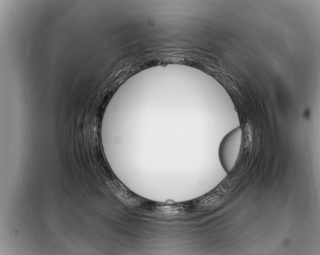 X0000099290522200805020736