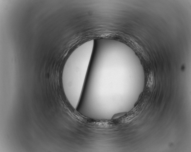 X0000099290524200805020736