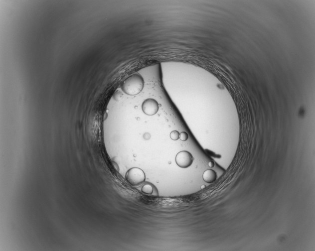 X0000099290527200805020736