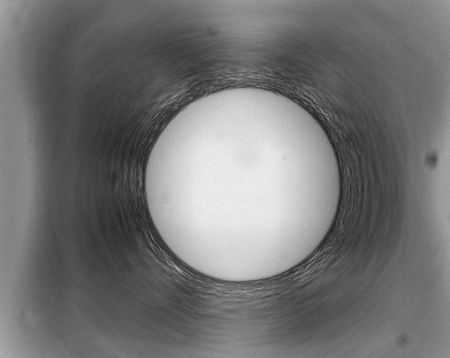 X0000099290528200805020736