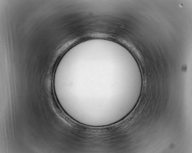 X0000099290533200805020735