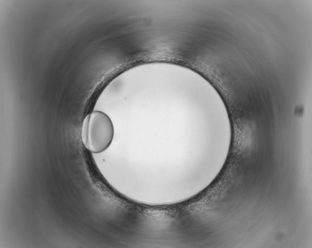 X0000099290534200805020735