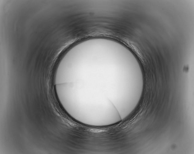 X0000099290539200805020736