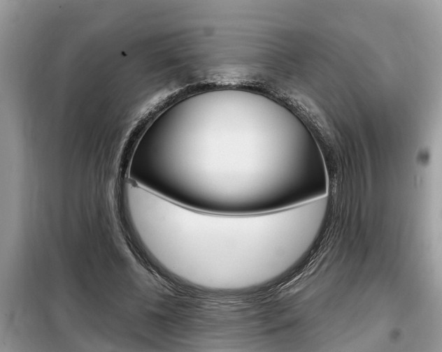 X0000099290540200805020736