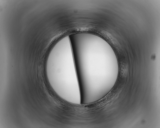 X0000099290543200805020736