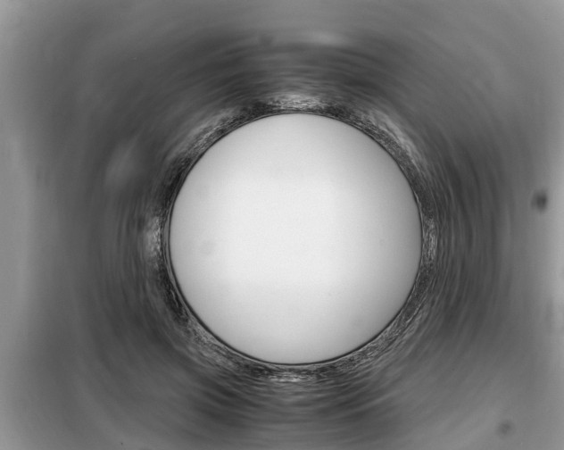 X0000099290549200805020736
