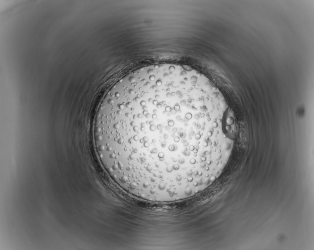 X0000099290550200805020736