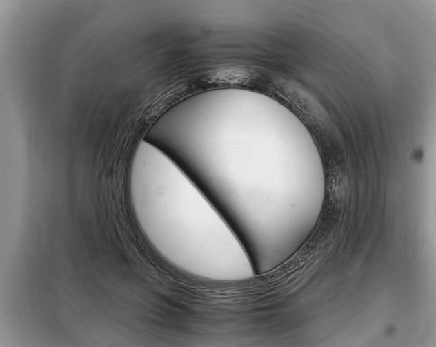 X0000099290551200805020736