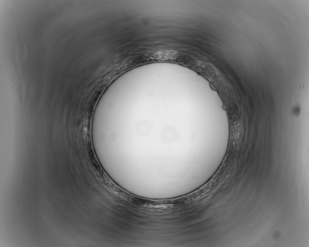 X0000099290553200805020736