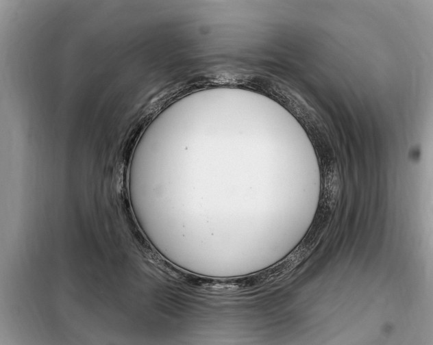 X0000099290554200805020736