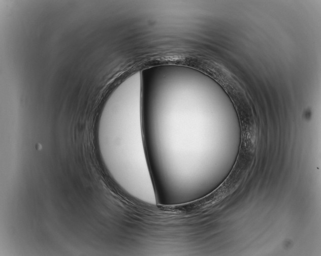 X0000099290556200805020736