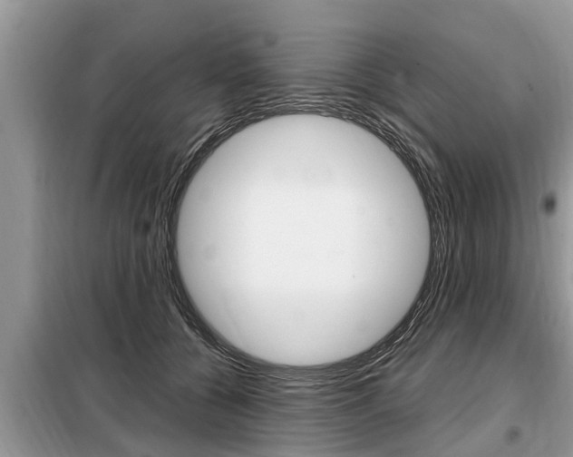 X0000099290560200805020736